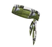 Westie Lawn West Highland White Terrier Dogs, Head Tie, Sports Headband Tie Back, Multi Sweatband for Men Women