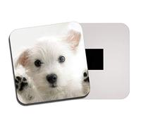Westie Puppy Fridge Magnet - West Highland Terrier Dog White Cute Fun #8954