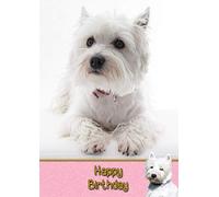 Westie/West Highland Terrier Dog Birthday Card