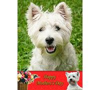 Westie/West Highland Terrier Dog Mothers Day Card