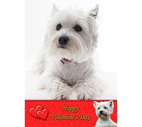 Westie/West Highland Terrier Dog Valentines Day Card