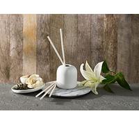 Westin Hotels - White Tea Scent Sticks - Set of 5 biodegradable, pre-scented sticks