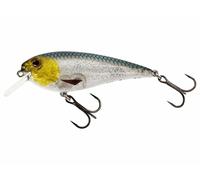 Westin RawBite Crankbait 17cm 100g Low Floating Lure Pike NEW COLOURS 2025