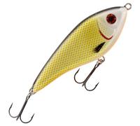 Westin Swim 12 cm 53 g Suspending Jerkbait, Colour: Official Roach