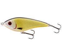 Westin Swim Glidebait - 15cm 107g Official Roach Suspending