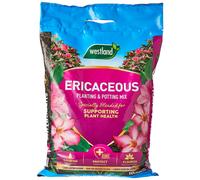 Westland 11400006 Ericaceous Compost, Pink