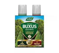 Westland 2 in 1 Feed & Protect for Buxus 2 × 500ml, Liquid Plant Feed & Plant Care Solution