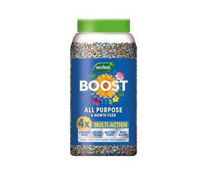Westland 20100535 Boost All Purpose 6 Month Plant Feed 750G