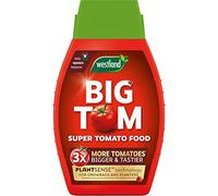Westland Big Tom Tomato Food 1L