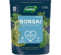Westland Bonsai Potting Mix 4L Peat-Free Indoor And Outdoor Tree Compost For Aeration And Root Growth