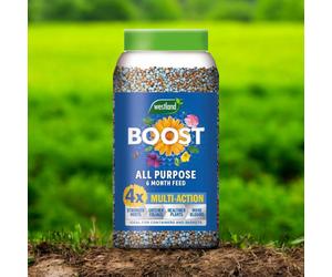Westland Boost All Purpose Plant Food Granules 750g