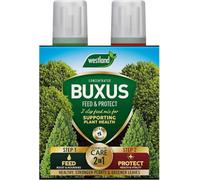 Westland Buxus Feed & Protect 2 In 1 2 X 500Ml