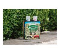 Westland Buxus Feed & Protect Concentrates 2 in 1 (2 x 500 ml), Green