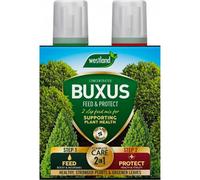 Westland Buxus Feed & Protect Concentrates 2 In 1 (2 X 500Ml) Dual-Action Boxwood Care System