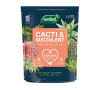 Westland Cacti & Succulent Potting Mix 4L Peat Free Soil