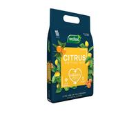 Westland Citrus Peat-Free Compost 10L