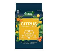 Westland Citrus Potting Mix 10L, Quad System Citrus Compost With Grit For Orange, Lemon & Lime Plants