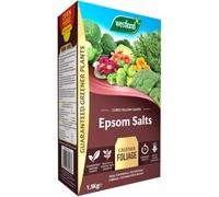 Westland Epsom Salts Plant Food 1.5kg | High Magnesium Granular Fertiliser | Helps Cure Yellow Leaves | For Tomatoes, Brassicas, Flowers & Shrubs | Fast-Acting Plant Feed