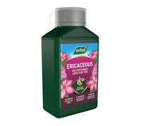 Westland Ericaceous High Performance Liquid Plant Food 1L Tailored Nourishment For Acid-Loving Plants