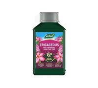 Westland Ericaceous Liquid Flower Plant Feed, 1L