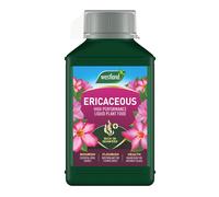 Westland Ericaceous Plant Feed 1L