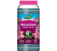 Westland Ericaceous Plant Food Granules 900g | Granular Fertiliser for Acid-Loving Plants | For Rhododendrons, Azaleas, Camellias, Heathers & Blueberries