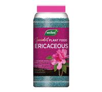 Westland Ericaceous Plant Food Granules 900G Nutrient Rich Feed For Acid Loving Plants Jar