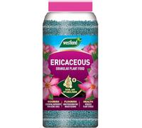 Westland Ericaceous Plant Food Granules Jar 900g - Ideal Fertilizer for Acid-Loving Plants like Rhododendrons, Azaleas, Blueberries & Camellias, Promotes Healthy Growth & Vibrant Blooms