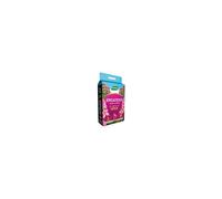 Westland Ericaceous Planting & Potting Mix 10L
