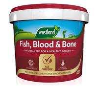 Westland Fish, Blood & Bone 8kg Tub Organic Garden Plant Food