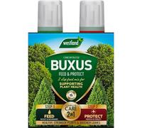 Westland Horticulture 20100418 Buxus Feed & Protect Concentrates 2 in 1 (2x500ML)