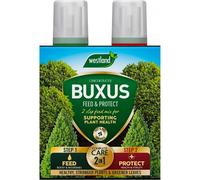 Westland Horticulture 20100418 Buxus Feed & Protect Concentrates 2 in 1 (2x500ML)