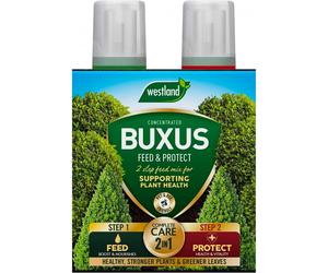 Westland Horticulture 20100418 Buxus Feed & Protect Concentrates 2 in 1 (2x500ML)