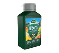 Westland Horticulture 20100443 Organic Seaweed Plant Growth Stimulant Liquid Plant Food 1L