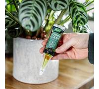 Westland Houseplant Droplet Feeders 5 Pack - 5 X 30Ml Ready-To-Use Plant Feeders For Up To 1 Month Each