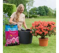 Westland John Innes Peat-Free Ericaceous Compost 28L, Lime-Free And Iron-Enriched