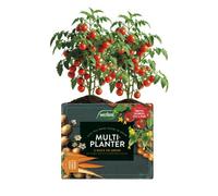 Westland Multi-Planter Peat-Free Grow Bag 40L