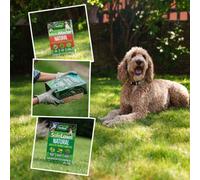 Westland Natural Lawncare Bundle - Natural, Pet Friendly Lawn Repair, Feed And Seed Options 150Sqm
