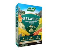 Westland Seaweed Enhanced Plant Growth Stimulant 2.5kg | Seaweed Plant Food & Soil Conditioner | Organic Plant Feed for Flowers, Fruit, Vegetables & Lawns