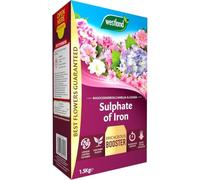 Westland Sulphate of Iron Plant Food 1.5kg Ericaceous Fertiliser | Iron-rich granular feed for acid-loving plants, promoting rich green foliage, strong roots and helping prevent yellow leaves