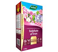 Westland Sulphate of Iron (Plant Food for Ericaceous Plants), 1.5 kg