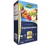 Westland Superphosphate 1.5Kg Fast Acting Root Developer And Plant Starter Fertilizer For Strong Growth