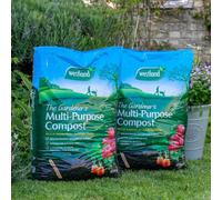 Westland The Gardeners Multi-Purpose Compost 46L, 70% Peat, Enriched 4-5 Weeks Feed, Single Bag