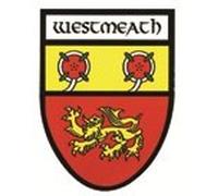 Westmeath Irish County Crest Shield Car Bike Sticker Decal Northern Ireland