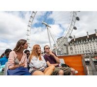 Westminster Walking Tour & London Eye Ticket