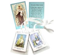 Westmon Works Ladies Scapular Set Our Lady of Mount Carmel Laminated Catholic Necklace with Holy Card Prayer