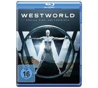 Westworld - Die komplette 1. Staffel [Blu-ray] (Blu-ray) Wood Evan Rachel Newton