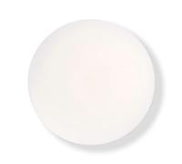 wet n wild Face Concealer & Primer 5-in-1 Essence Primer Liquid