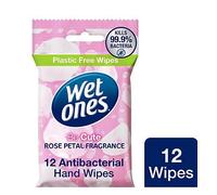 Wet Ones Be Cute Biodegradable Antibacterial Hand Wipes 12 Pack