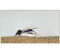 Wet Trout Fishing Flies, Barbless Purple Peacock Spider Choice of size and quantity, Northern Counties Spiders (6, 16)